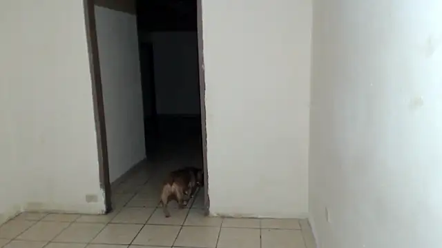 BlondZilla online show from March 7, 2026, 7:37 am