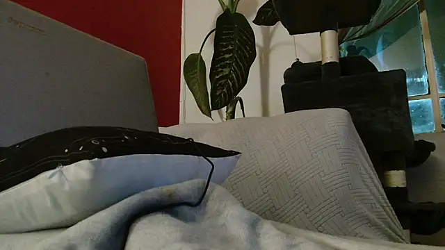 Tulindabonny online show from March 6, 2026, 5:02 am