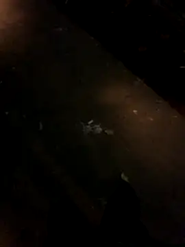 sesa12 online show from November 21, 2025, 8:52 pm