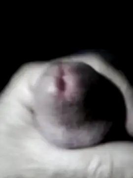 userbrasil12345 online show from June 15, 2026, 4:12 am