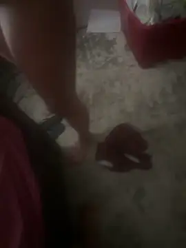 silverbay-456 online show from September 22, 2025, 11:27 am