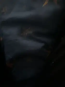 Snapshot of high_geil chatting on December 3, 2025, 9:09 am high geil online show from December 3, 2025, 9:09 am