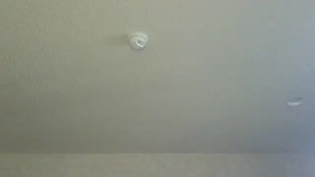 Flossee online show from April 11, 2026, 12:18 am