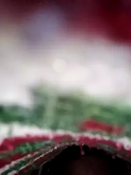 ParousFlow online show from February 13, 2026, 11:32 am