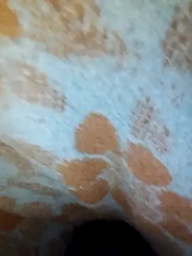 ParousFlow online show from April 15, 2026, 10:10 pm