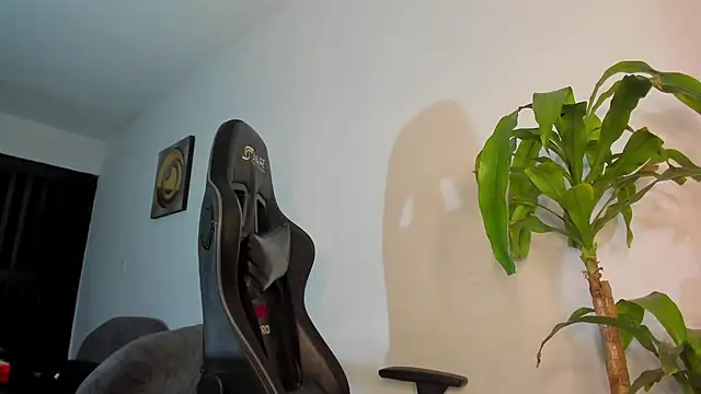 LoganTwink18 online show from December 17, 2025, 9:25 am