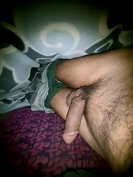 Desi Horny Boys online show from November 16, 2025, 4:12 pm