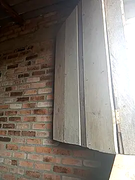 GaaraDiaz online show from November 5, 2025, 2:53 pm