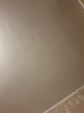 gazb90 online show from January 14, 2026, 8:12 pm