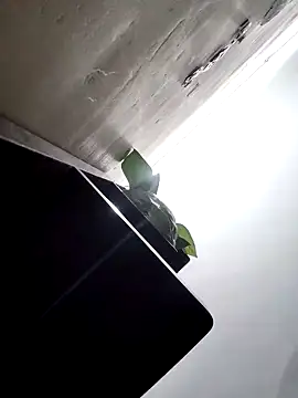 papukurty online show from March 25, 2026, 1:50 am