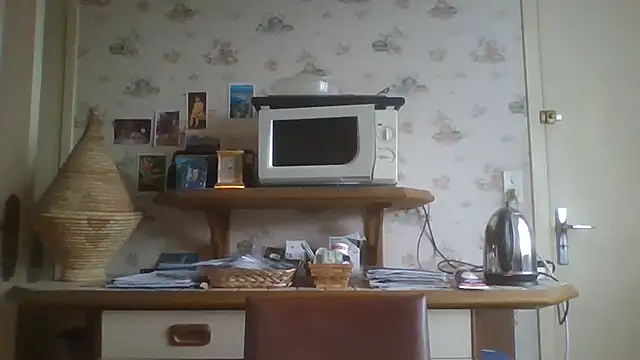 gegevincent online show from January 18, 2026, 2:09 pm