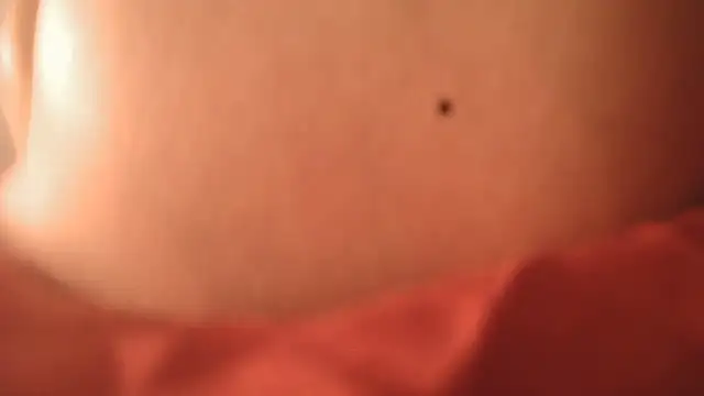 Snapshot of SatiroyNinfa chatting on October 15, 2025, 10:07 pm SatiroyNinfa online show from October 15, 2025, 10:07 pm