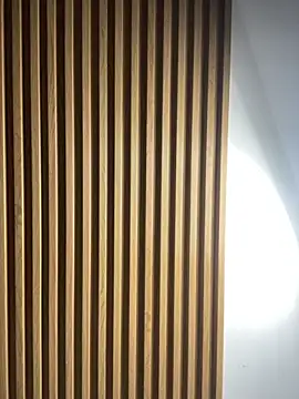 Scaarlettfox online show from November 3, 2025, 7:28 pm