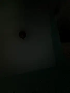 Villageanuty online show from February 26, 2026, 1:27 am