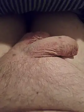 minnetird online show from February 9, 2026, 7:06 am