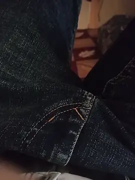 silvaa89 online show from November 17, 2025, 3:32 am