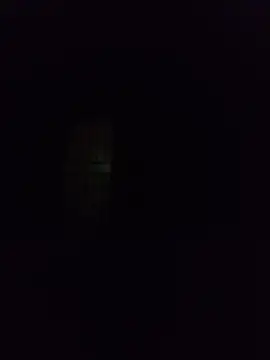 silvaa89 online show from December 2, 2025, 12:55 am