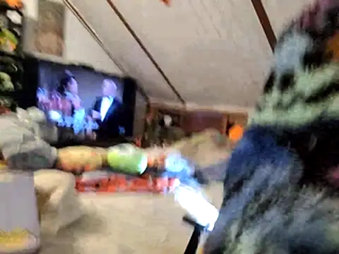 thejuicybacon online show from November 25, 2025, 11:10 am