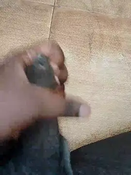 Saikishore00000 online show from September 15, 2025, 8:26 am