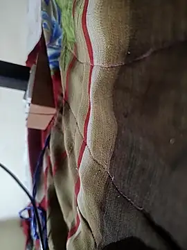 Telugu person12 online show from February 16, 2026, 9:02 pm