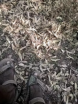 Telugu person12 online show from January 7, 2026, 8:52 am