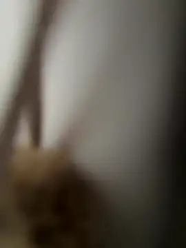 Snapshot of yungdboiy chatting on September 23, 2025, 3:30 pm yungdboiy online show from September 23, 2025, 3:30 pm