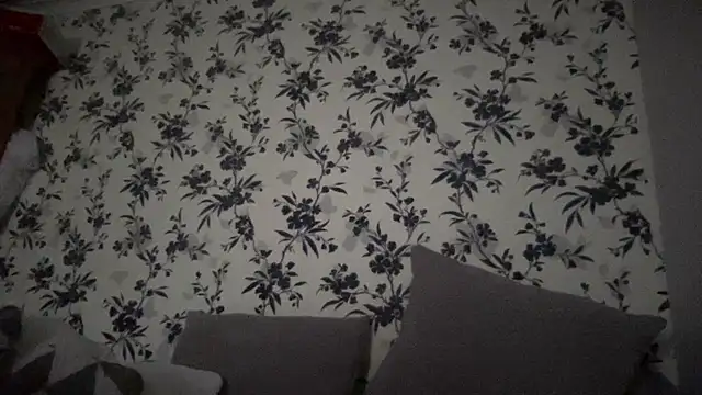 Big8inchUncutCock online show from April 10, 2026, 10:00 am