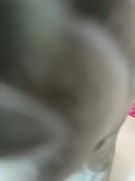 Helen Vidall online show from October 6, 2025, 3:57 pm