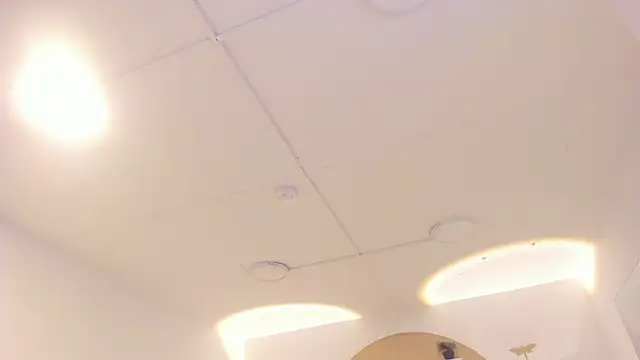 TokyoHaskel online show from October 8, 2025, 4:03 am