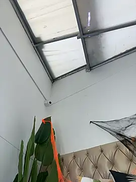 Snapshot of TweetiePieXXX chatting on October 31, 2025, 10:05 pm TweetiePieXXX online show from October 31, 2025, 10:05 pm