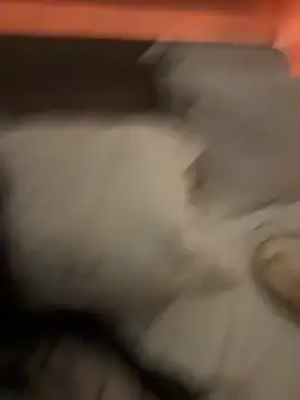 Ofcourseoneday online show from March 8, 2026, 1:36 pm