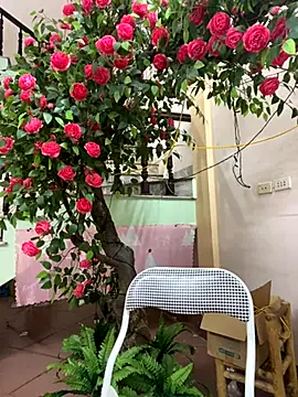 Bollozzy 89 online show from September 29, 2025, 4:23 pm