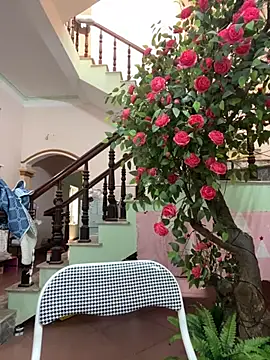 Bollozzy 89 online show from September 24, 2025, 4:52 am