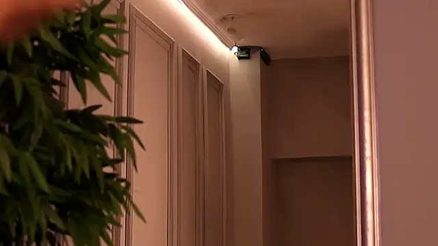 Snapshot of KendalJolly chatting on September 21, 2025, 5:40 pm KendalJolly online show from September 21, 2025, 5:40 pm