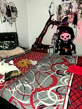 Snapshot of venusobryan_55 chatting on October 28, 2025, 10:52 pm venusobryan 55 online show from October 28, 2025, 10:52 pm