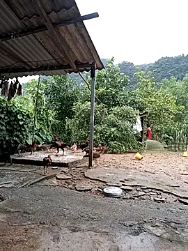 SexyQueen99 online show from September 25, 2025, 10:21 am