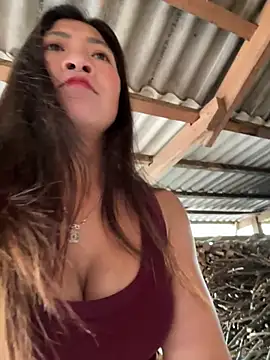 ThiHa003 online show from February 7, 2026, 3:47 am