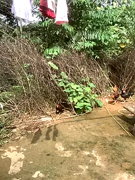 Snapshot of ThiHa003 chatting on November 10, 2025, 4:28 am ThiHa003 online show from November 10, 2025, 4:28 am