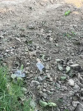 funny sexxx online show from November 6, 2025, 8:18 am