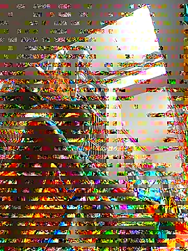 ISHANI-SINGH online show from November 29, 2025, 2:55 am