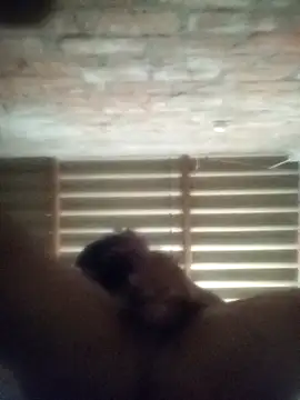 jocafe1995 online show from April 21, 2026, 3:02 am