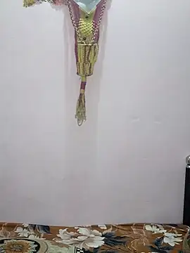 sneha bebo online show from February 27, 2026, 3:56 pm