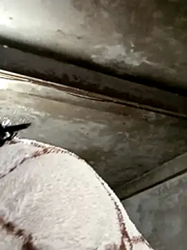 maple694 online show from January 9, 2026, 3:13 am