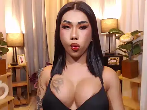 TRANSPORNIDOL online show from February 8, 2026, 3:54 pm