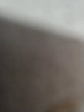 12dery online show from February 15, 2026, 7:20 am