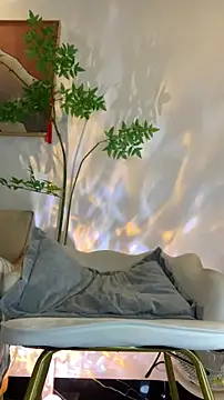 Snapshot of zhizhinaigai chatting on February 16, 2026, 6:12 am zhizhinaigai online show from February 16, 2026, 6:12 am