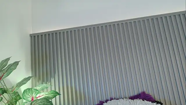 Celeste Presstigge online show from November 24, 2025, 11:27 pm