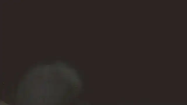 Snapshot of pietje1991 chatting on May 16, 2026, 11:37 pm pietje1991 online show from May 16, 2026, 11:37 pm