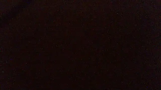 pietje1991 online show from April 2, 2026, 10:49 pm