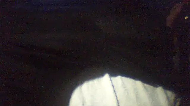 pietje1991 online show from February 10, 2026, 1:04 am